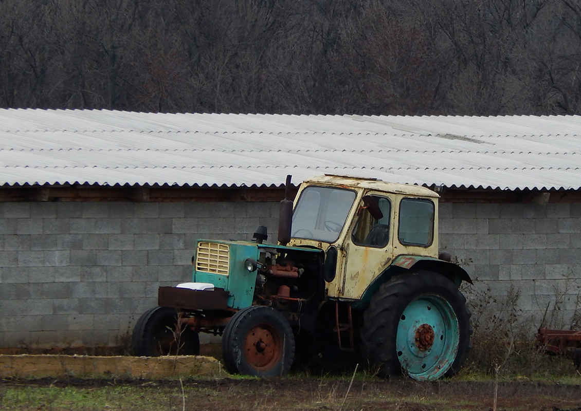 Белгородская область, № (31) Б/Н СТ 0051 — ЮМЗ-6АЛ/АМ