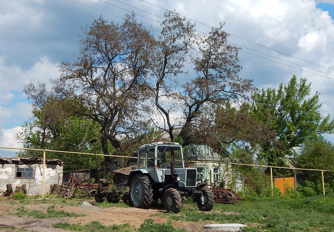 Воронежская область, № (36) Б/Н СТ 0008 — МТЗ-82