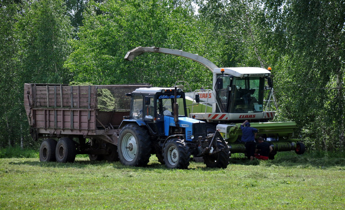 Московская область, № (50) Б/Н СТ 0045 — Claas Jaguar 850