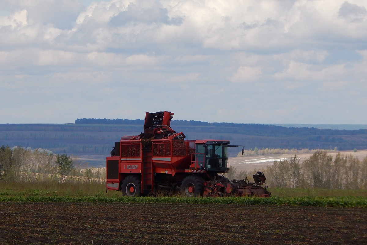 Белгородская область, № (31) Б/Н СТ 0079 — Holmer (общая модель)