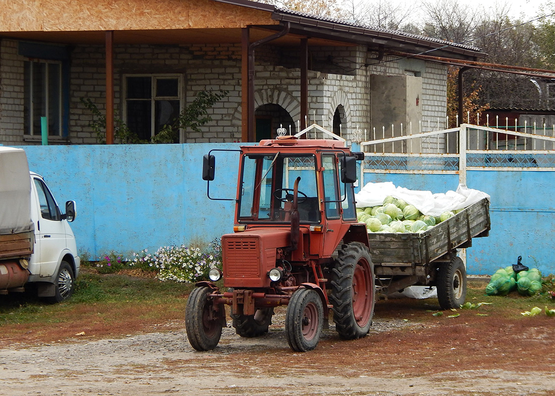 Белгородская область, № (31) Б/Н СТ 0080 — Т-25/Т-30