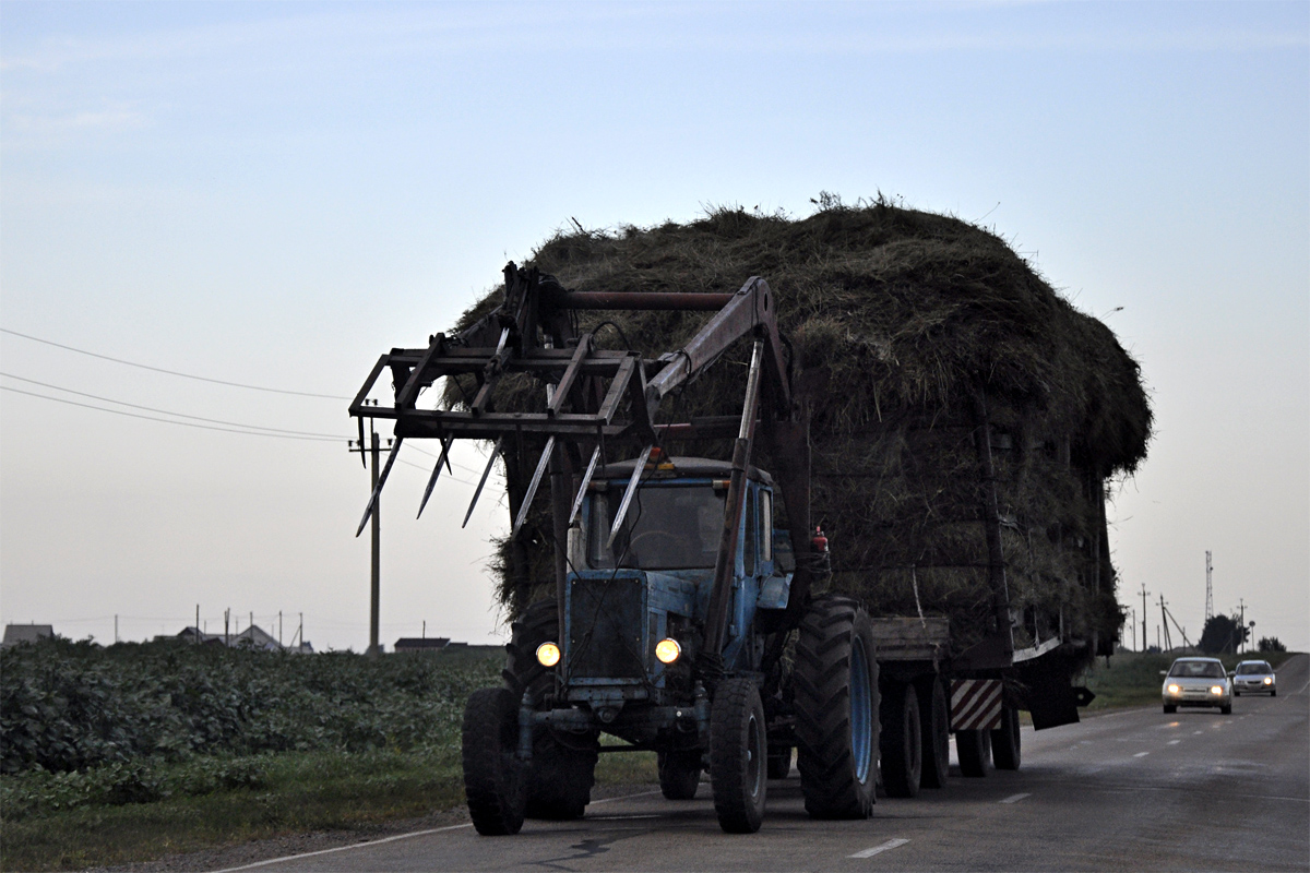 Алтайский край, № (22) Б/Н СТ 0326 — МТЗ-50