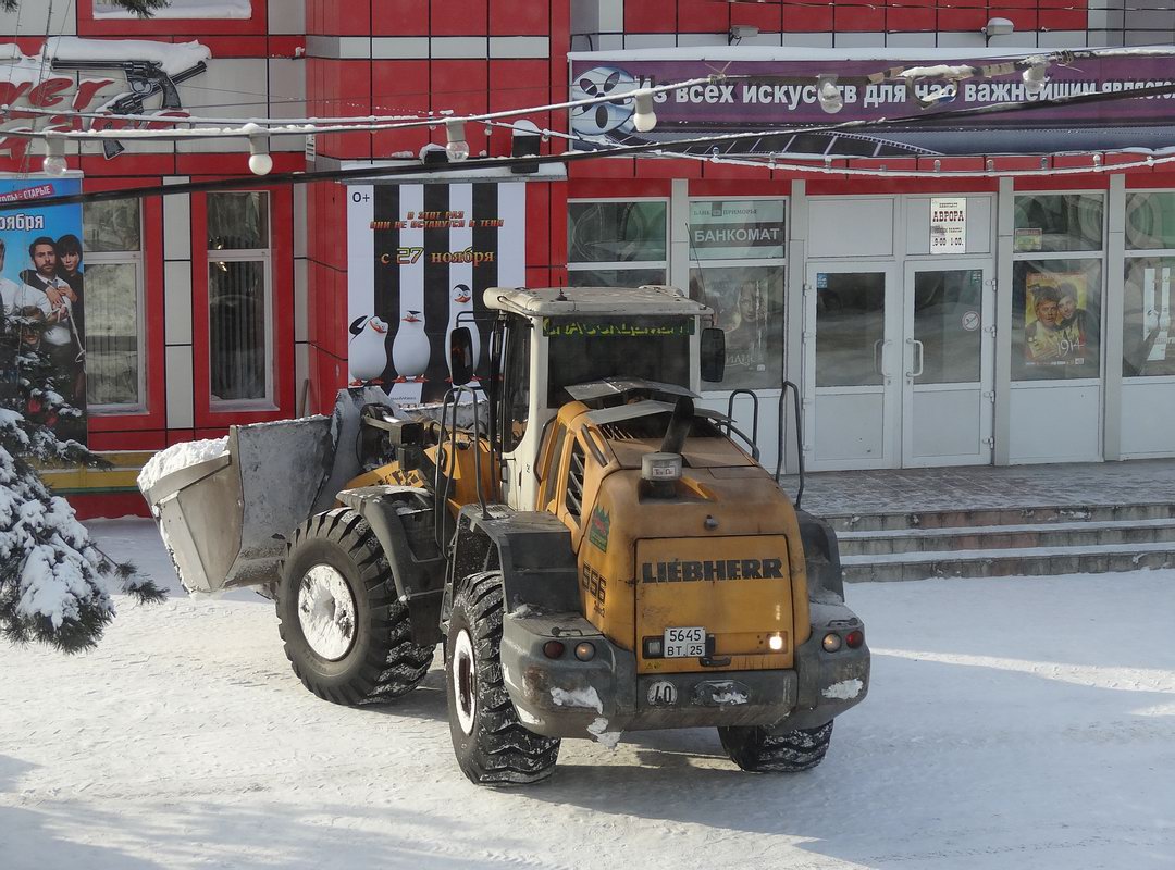 Приморский край, № 5645 ВТ 25 — Liebherr (общая модель)