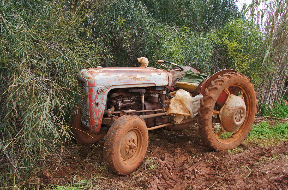 Кипр, № EB 287 — Massey Ferguson (общая модель)