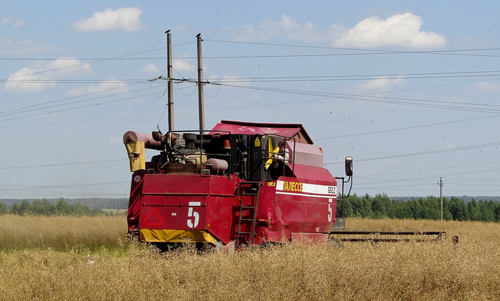 Могилёвская область, № 5 — КЗС-1218 "Палессе GS12"