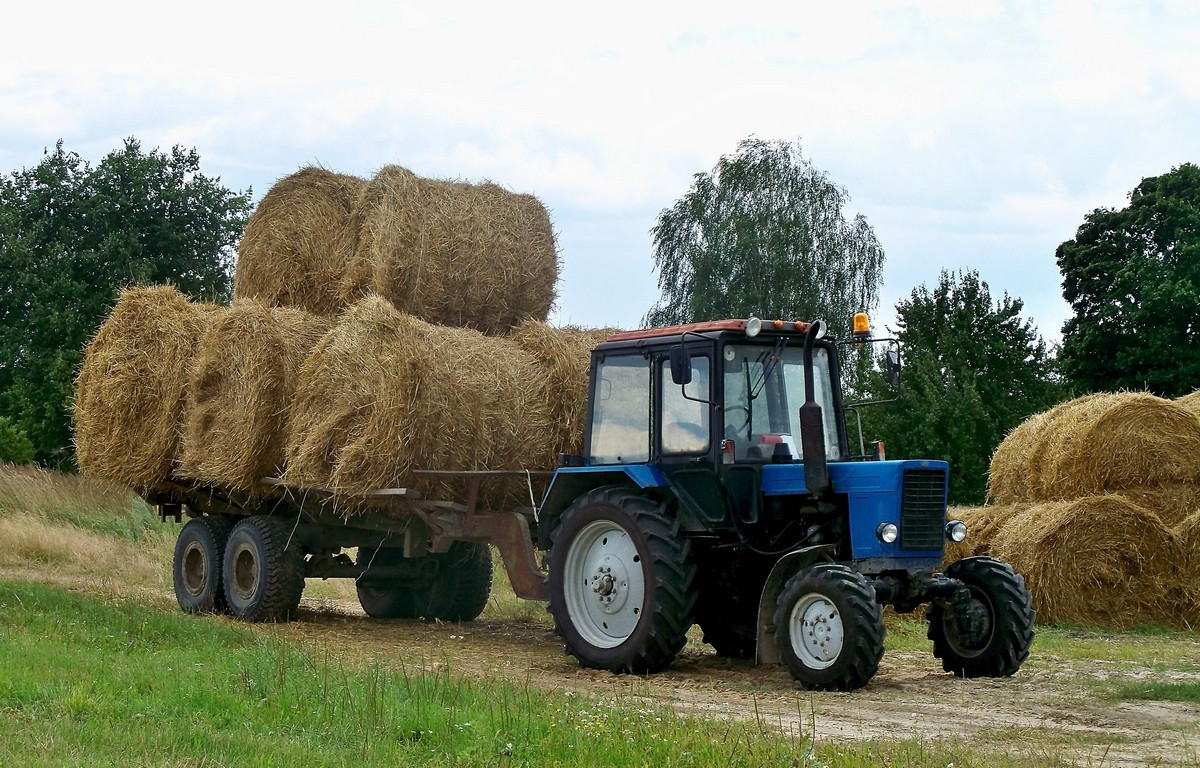 Могилёвская область, № (BY-6) Б/Н СТ 0092 — Беларус-82.1