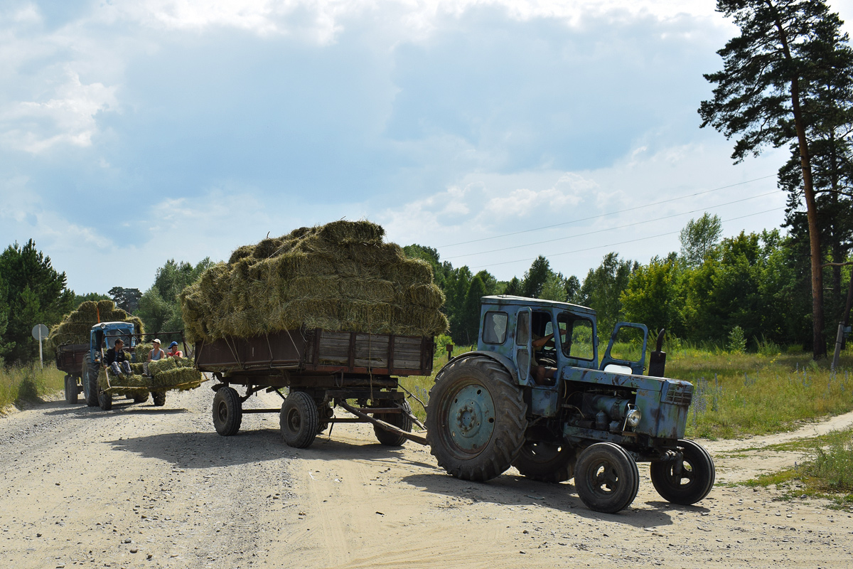 Алтайский край, № 0812 АУ 22 — Т-40М