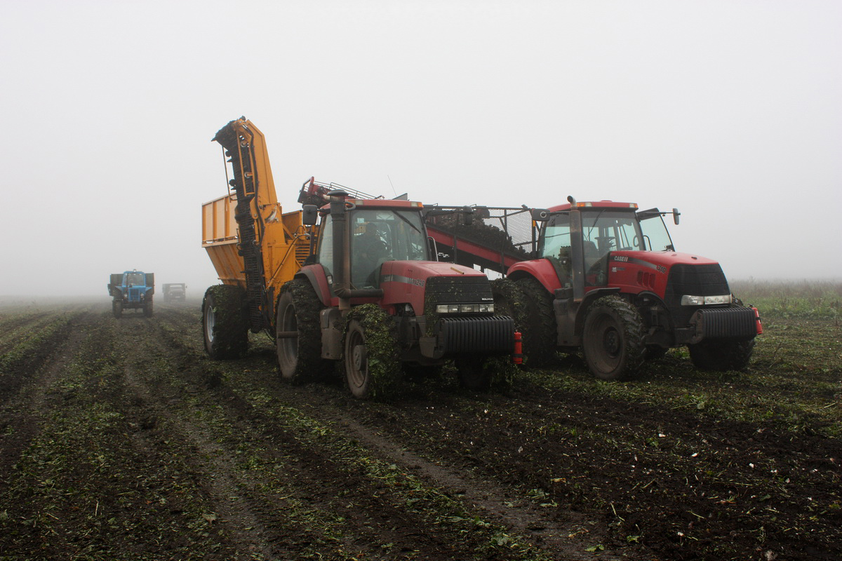 Полтавская область, № 33157 НО — Case IH Magnum 310; Полтавская область, № 31984 НО — Case IH Magnum (общая модель)