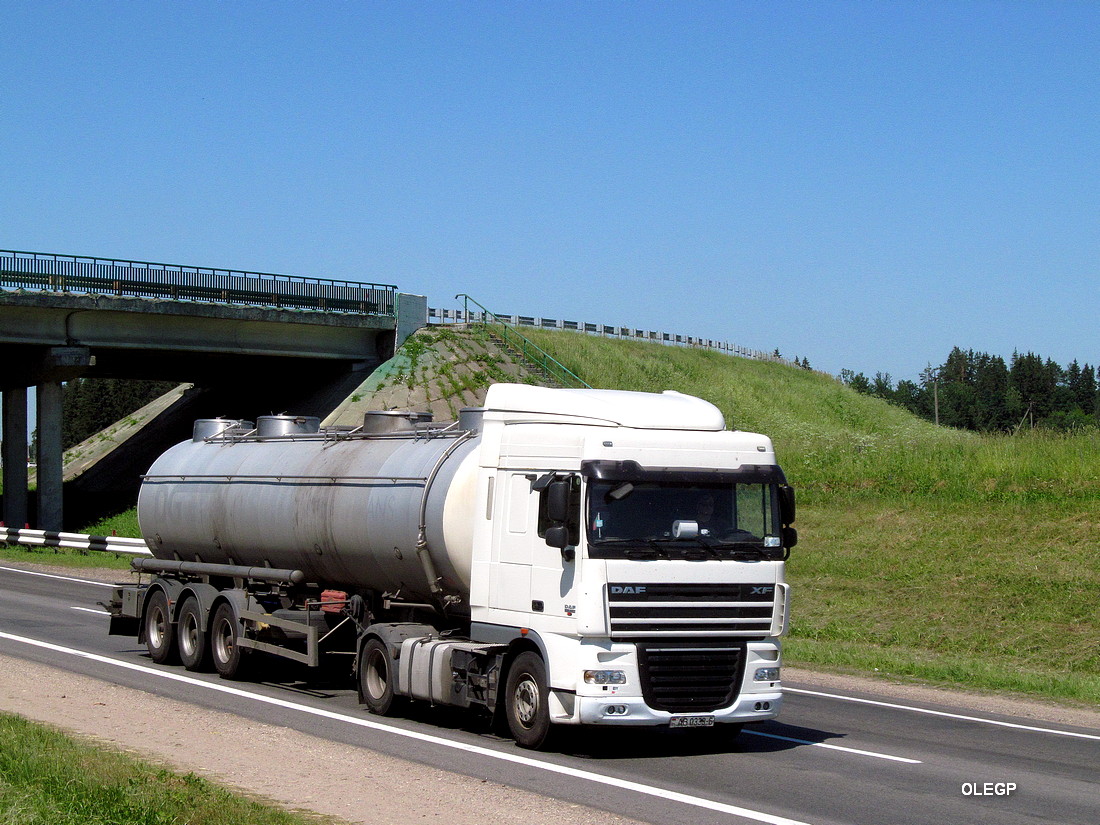 Могилёвская область, № АВ 0330-6 — DAF XF105 FT