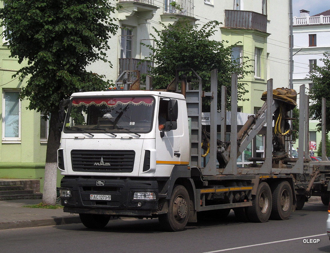 Минская область, № АС 1273-5 — МАЗ-6312 (общая модель)