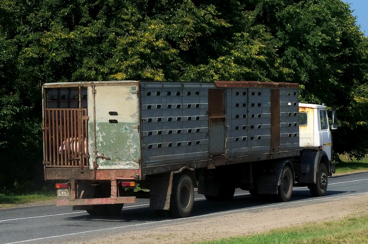 Могилёвская область, № АЕ 6824-6 — МАЗ-5433 (общая модель)