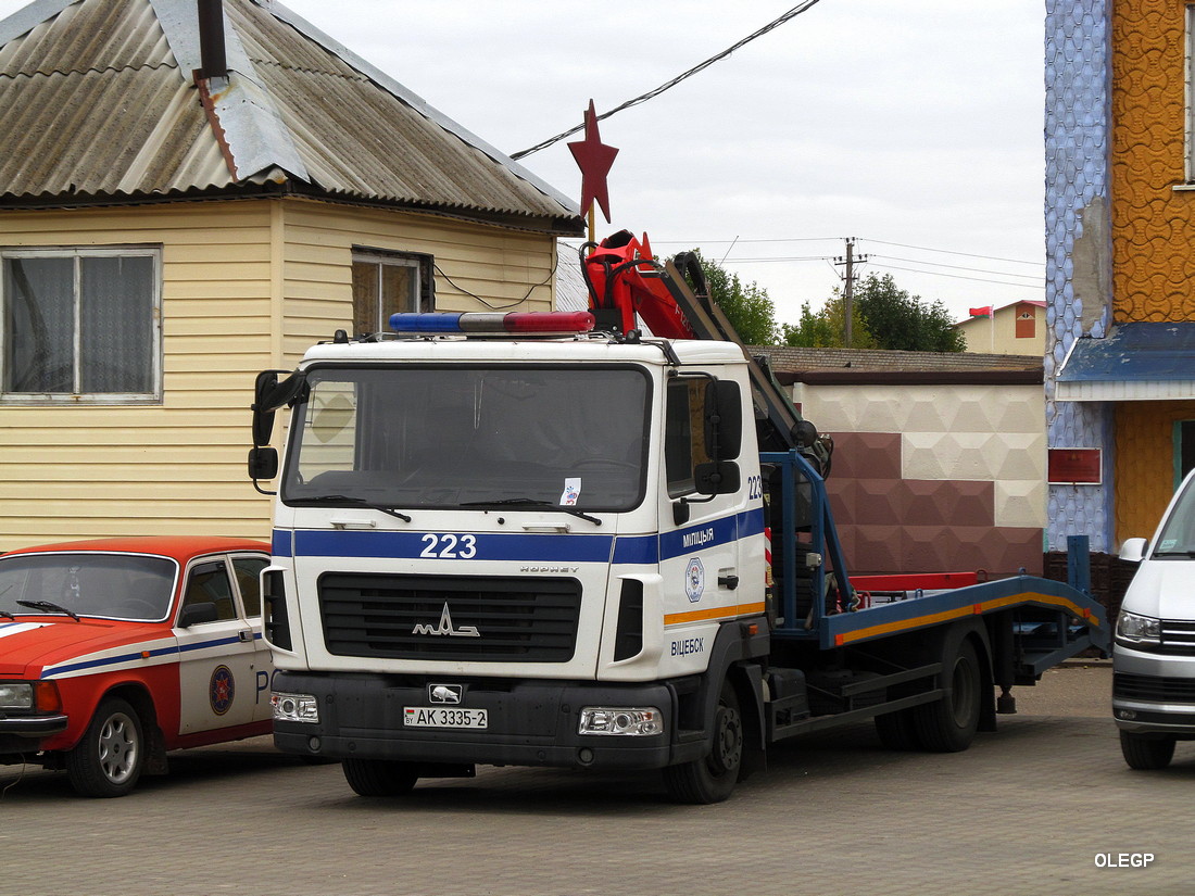 Витебская область, № 223 — МАЗ-4371P2 "Зубрёнок"