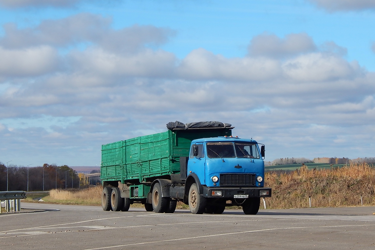 Воронежская область, № Е 059 УВ 36 — МАЗ-504В