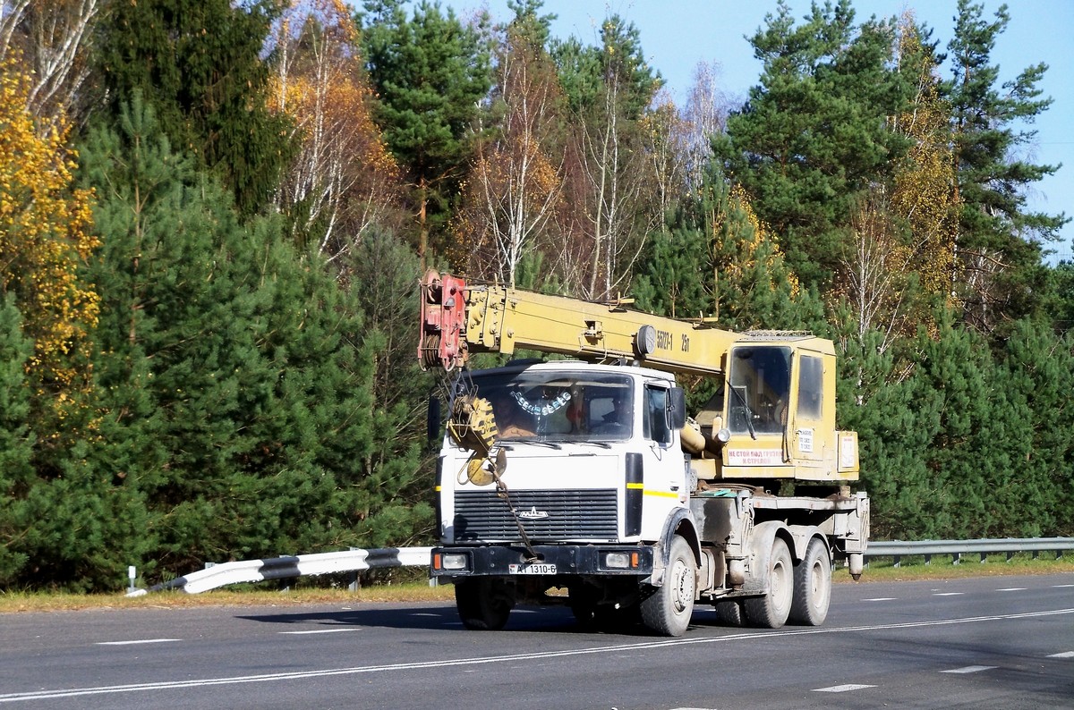 Могилёвская область, № АІ 1310-6 — МАЗ-6303 (общая модель)