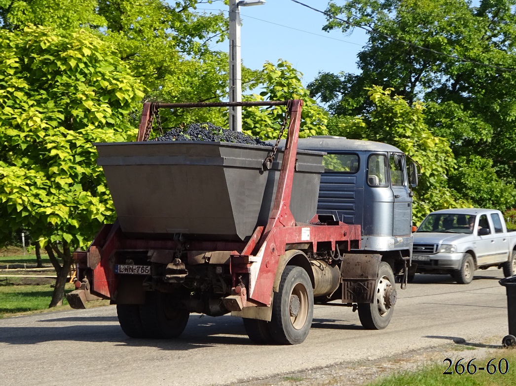 Венгрия, № LWN-765 — IFA L60 1218 4x4 DSKN; Венгрия — Сбор винограда в Венгрии