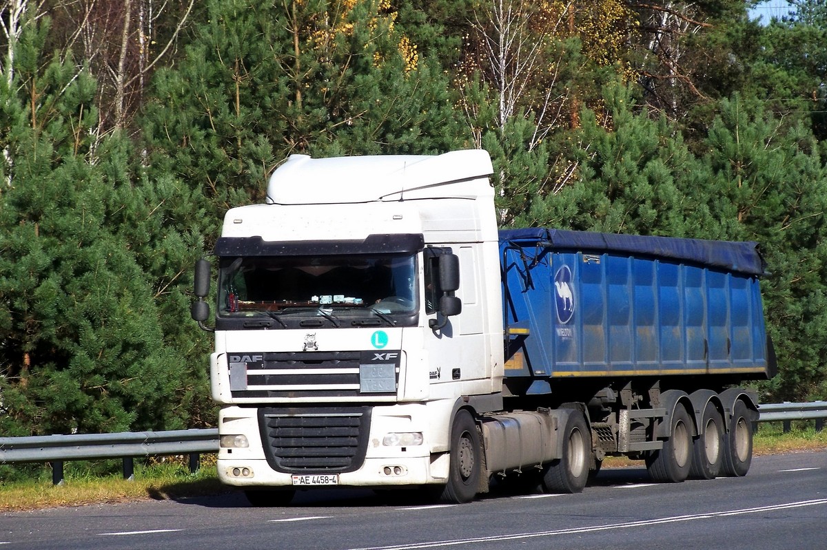 Гродненская область, № АЕ 4458-4 — DAF XF95 FT