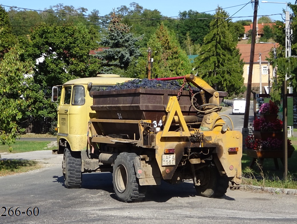 Венгрия, № AFA-561 — IFA W50LA/K, LA/Z; Венгрия — Сбор винограда в Венгрии