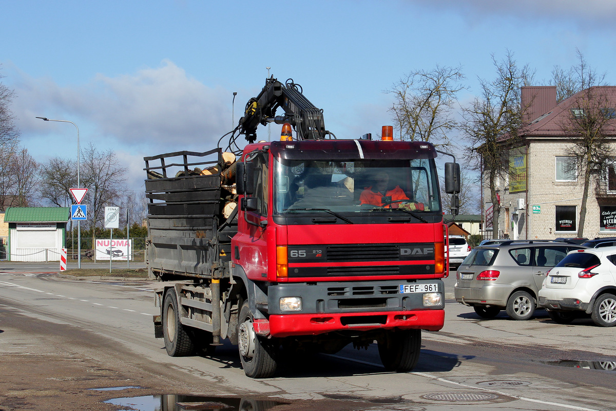 Литва, № FEF 961 — DAF 65 (CF) FA