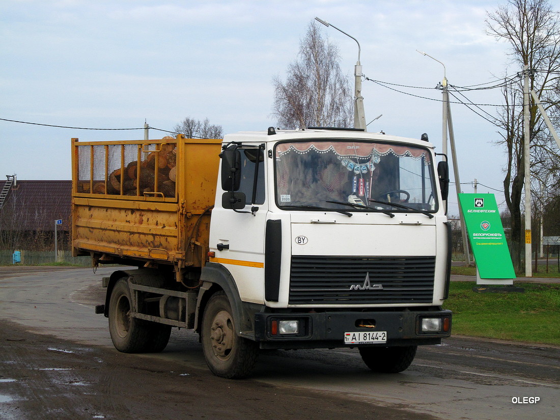 Витебская область, № АІ 8144-2 — МАЗ-4570 (общая модель)