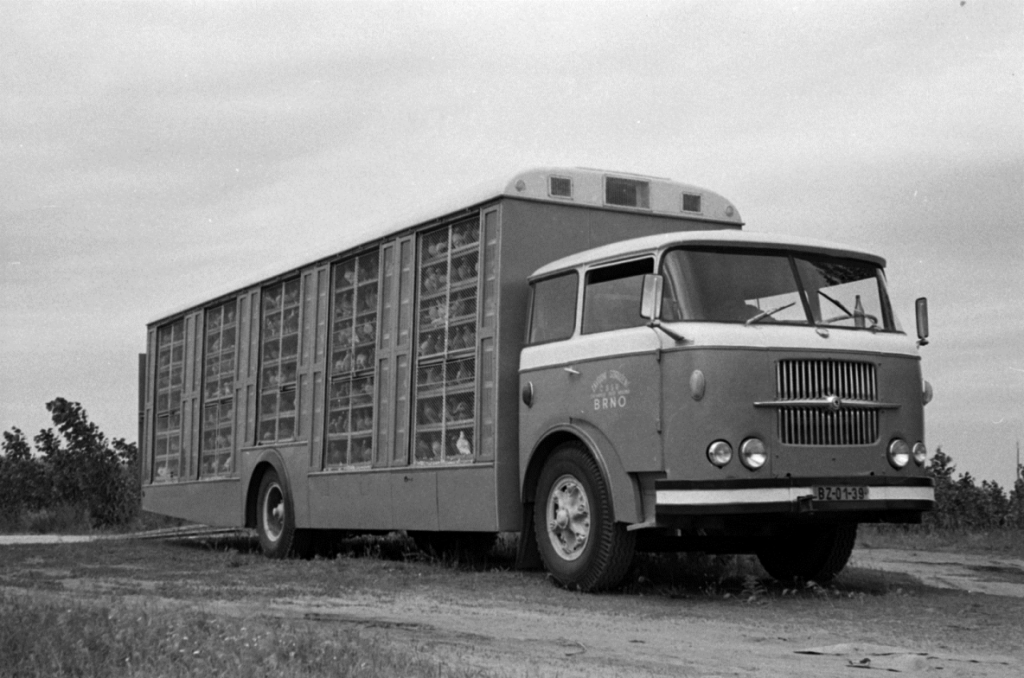 Чехия, № BZ 01-39 — Škoda 706 RT