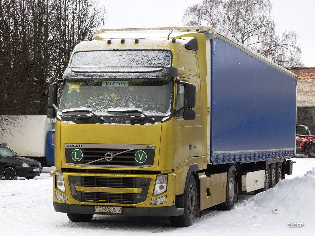 Витебская область, № АМ 0202-2 — Volvo ('2008) FH.500