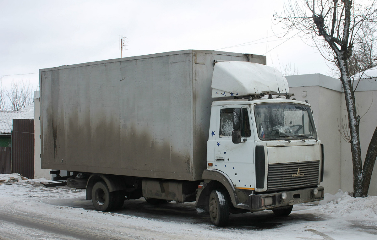 Воронежская область, № М 498 ТУ 36 — МАЗ-437041 "Зубрёнок"