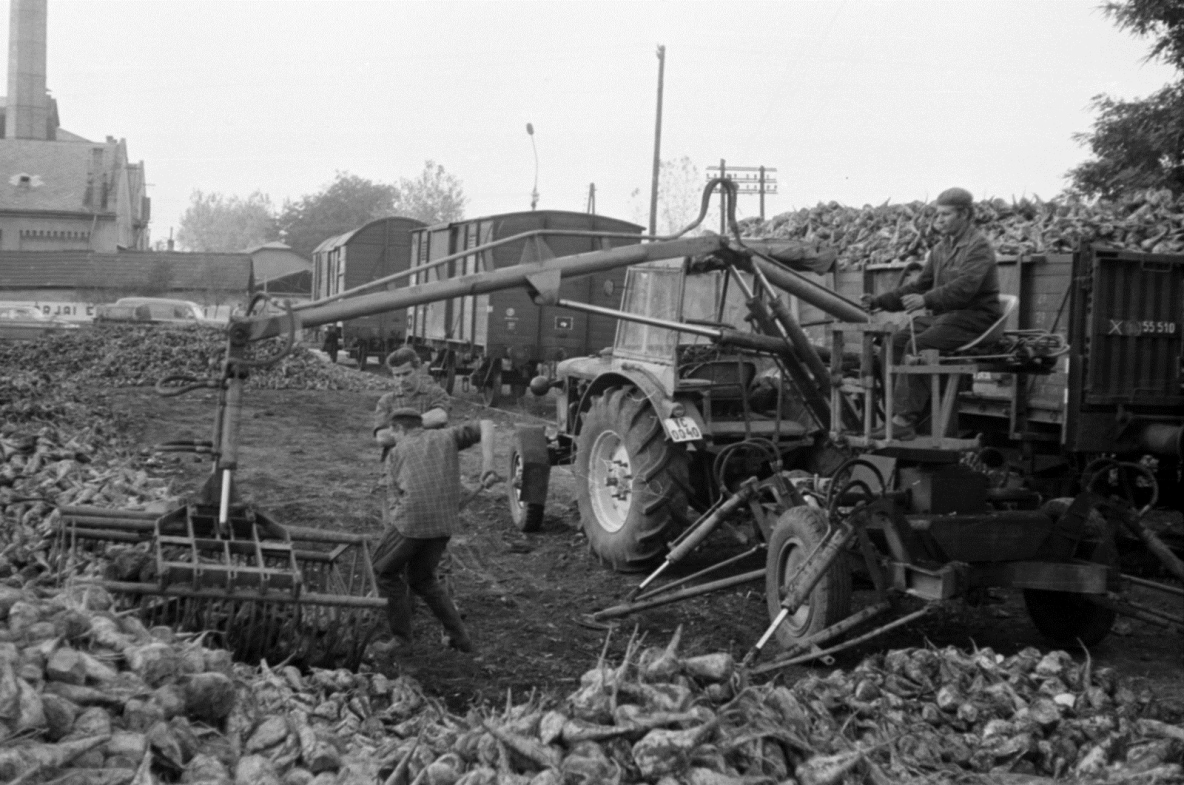 Венгрия, № VC-00-40 — Zetor Super 50; Венгрия — Исторические фотографии (Спецтехника)