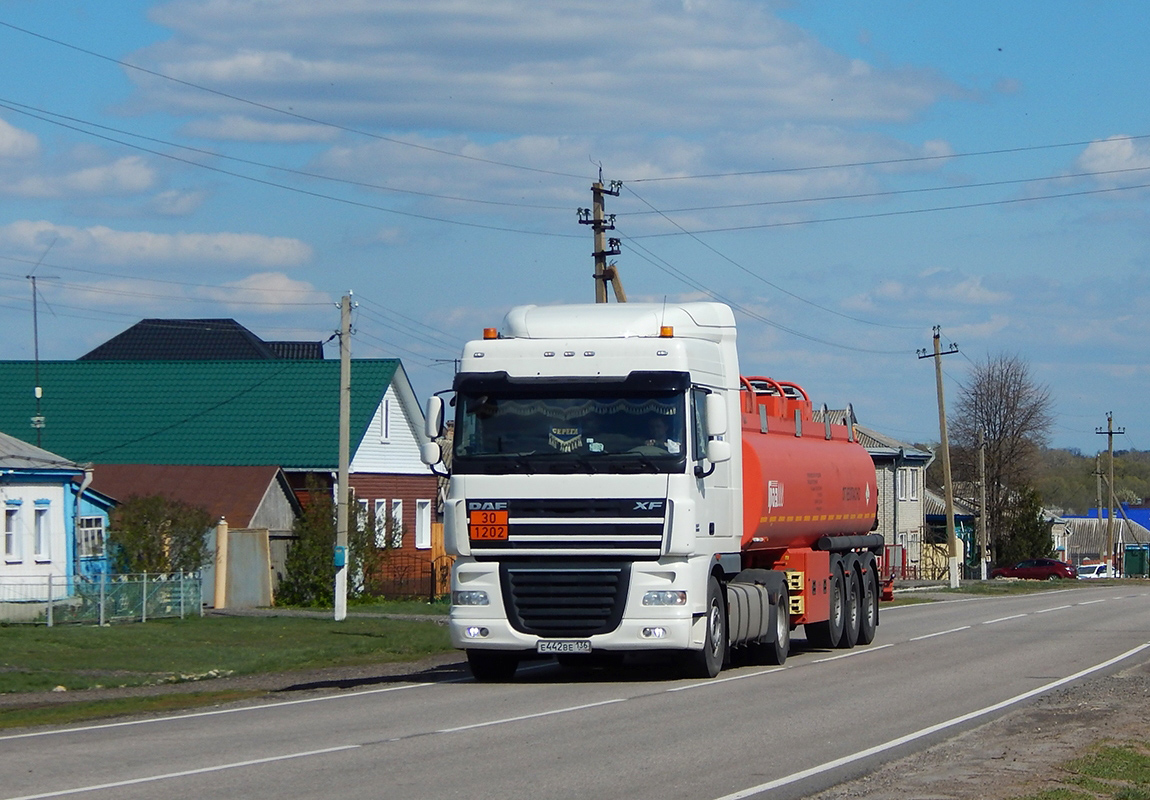 Воронежская область, № Е 442 ВЕ 136 — DAF XF105 FT