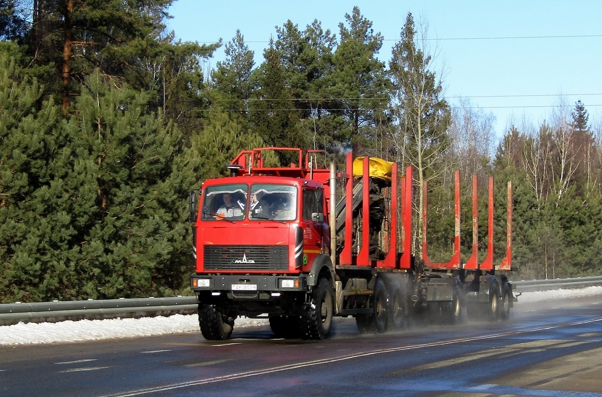 Могилёвская область, № АК 0653-6 — МАЗ-6317 (общая модель)