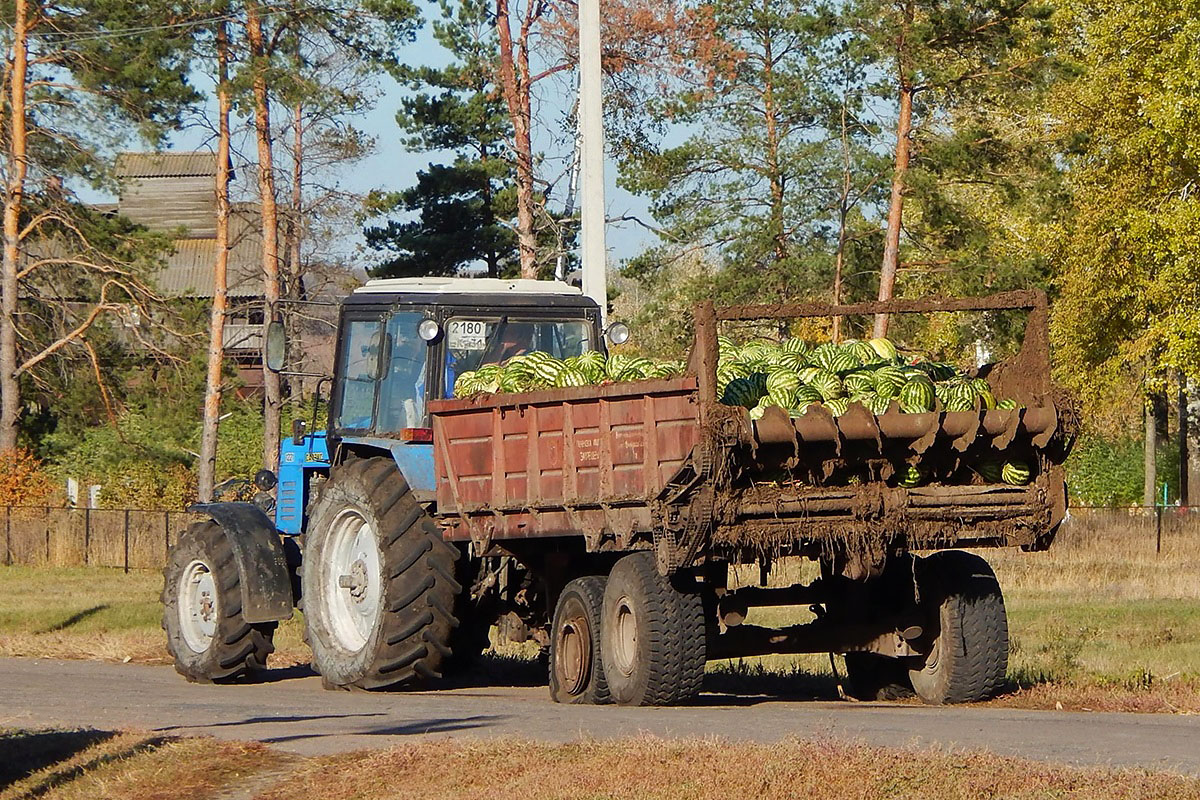 Белгородская область, № 2180 ЕК 31 — Беларус-1221 (Сарэкс)