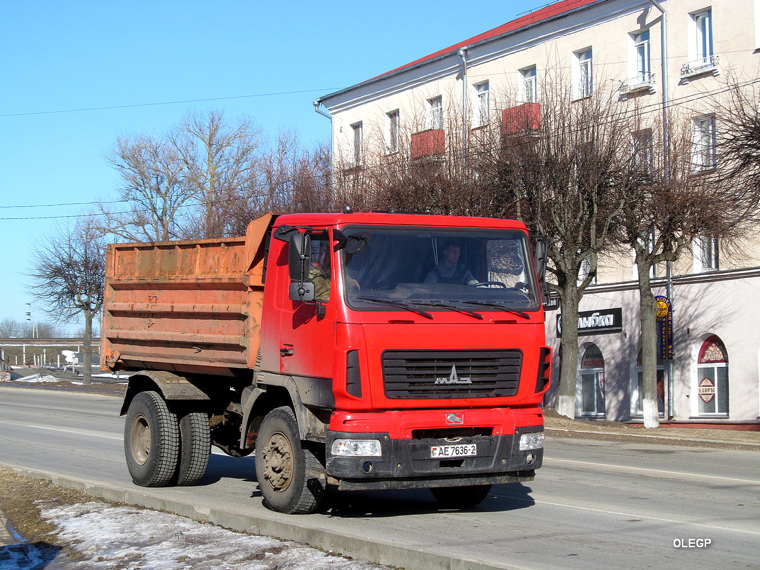 Витебская область, № АЕ 7636-2 — МАЗ-5551 (общая модель)