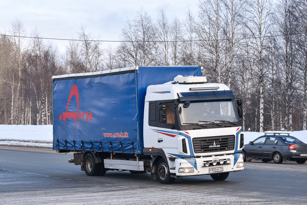 Архангельская область, № М 800 АК 29 — МАЗ-4371W1 "Зубрёнок"