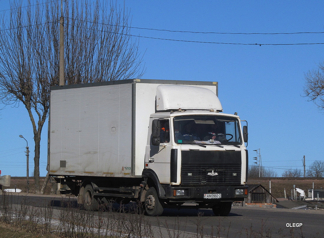 Витебская область, № АМ 0960-2 — МАЗ-4370 (общая модель)