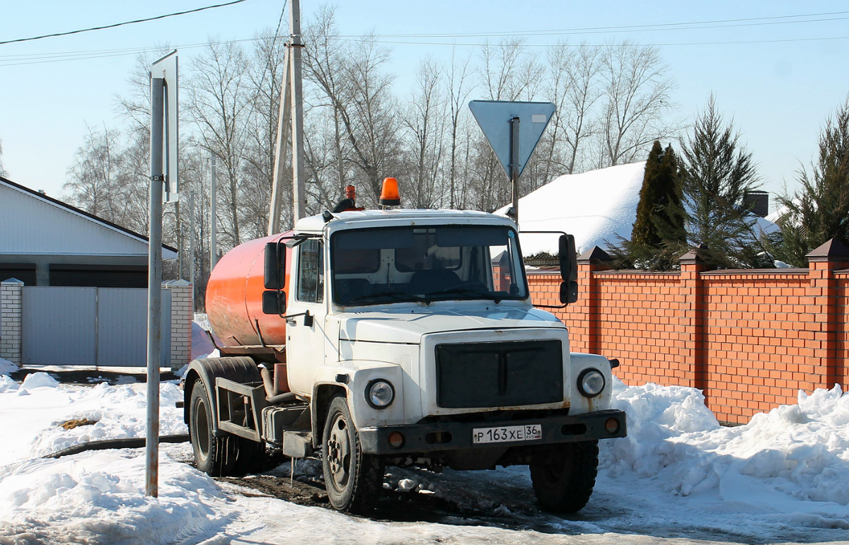 Воронежская область, № Р 163 ХЕ 36 — ГАЗ-3309