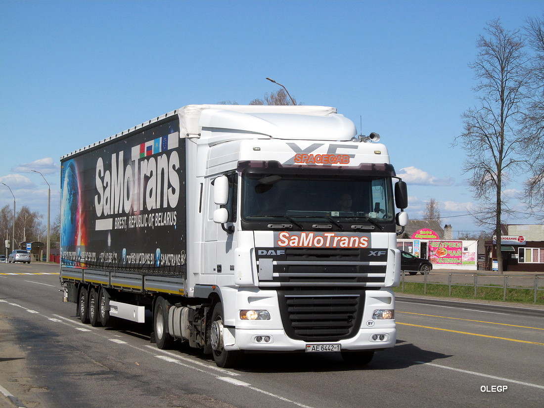 Брестская область, № АЕ 6442-1 — DAF XF105 FT