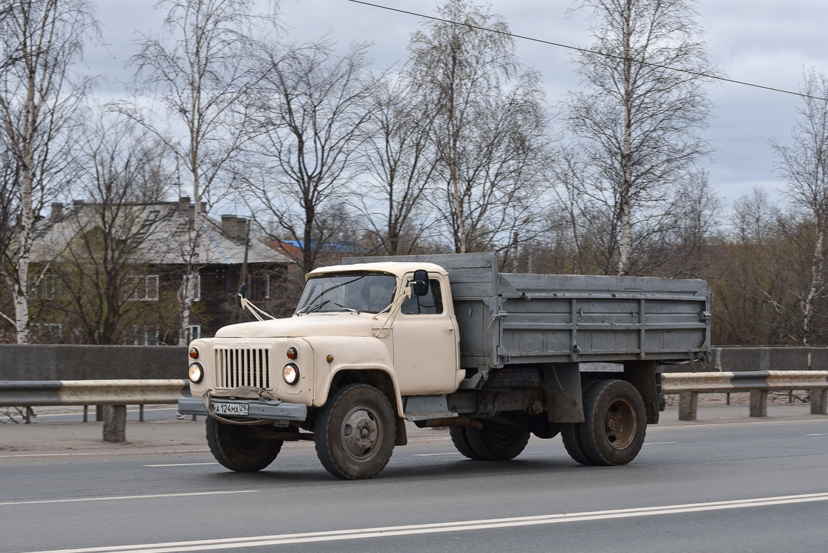 Архангельская область, № А 124 МА 29 — ГАЗ-53-02