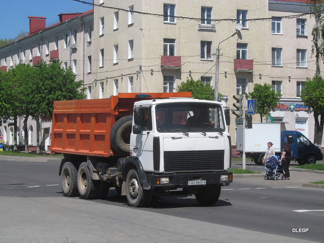 Витебская область, № АК 8665-2 — МАЗ-5516 (общая модель)