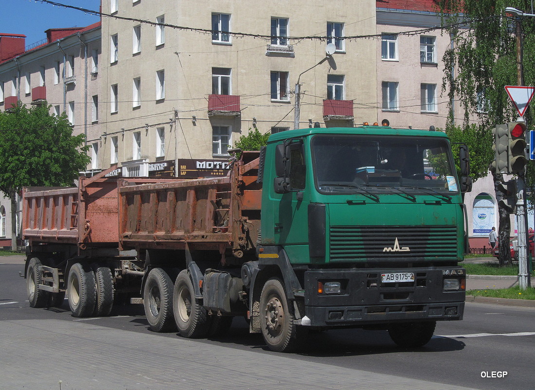 Витебская область, № АВ 9175-2 — МАЗ-6501 (общая модель)