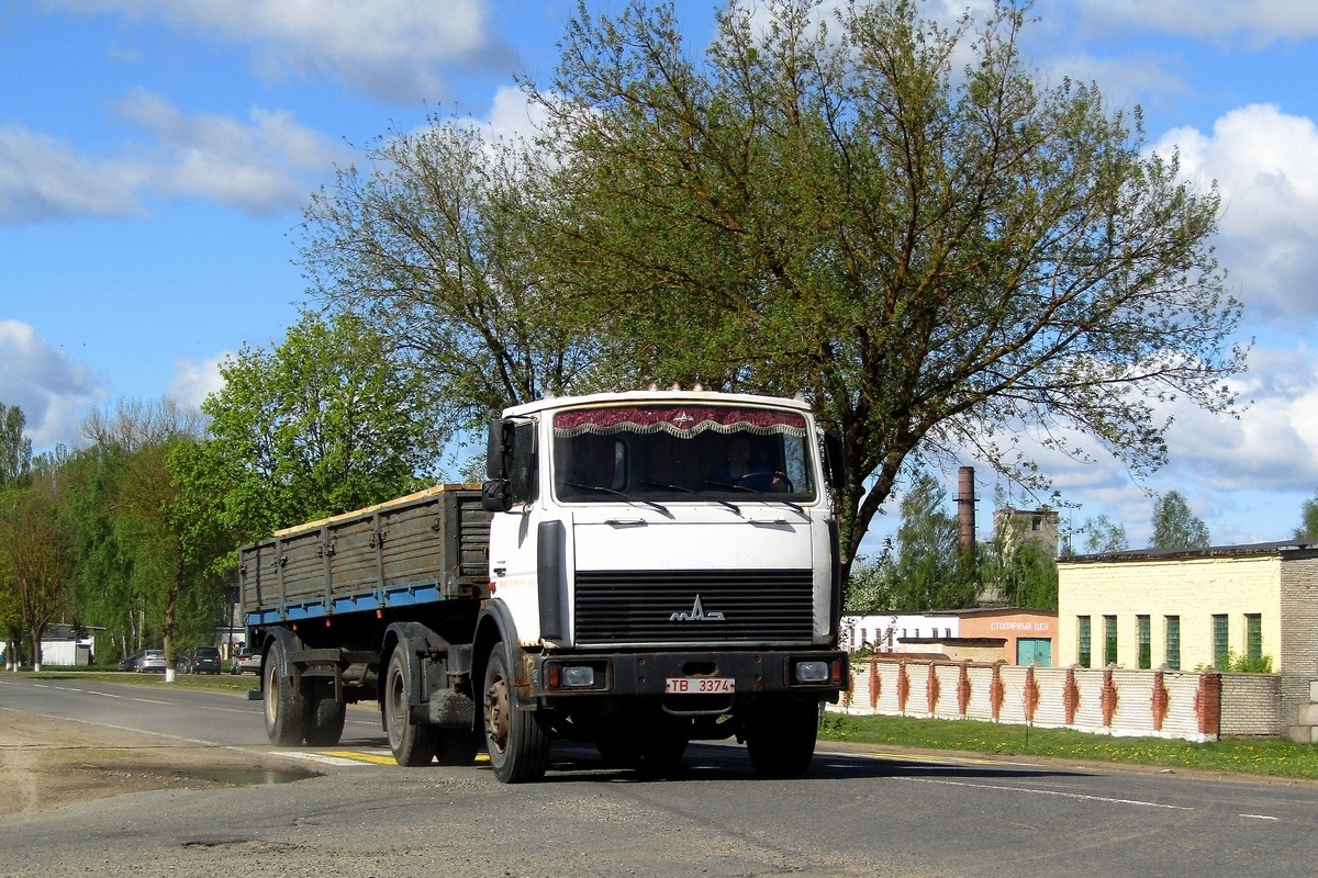 Могилёвская область, № ТВ 3374 — МАЗ-5433 (общая модель)