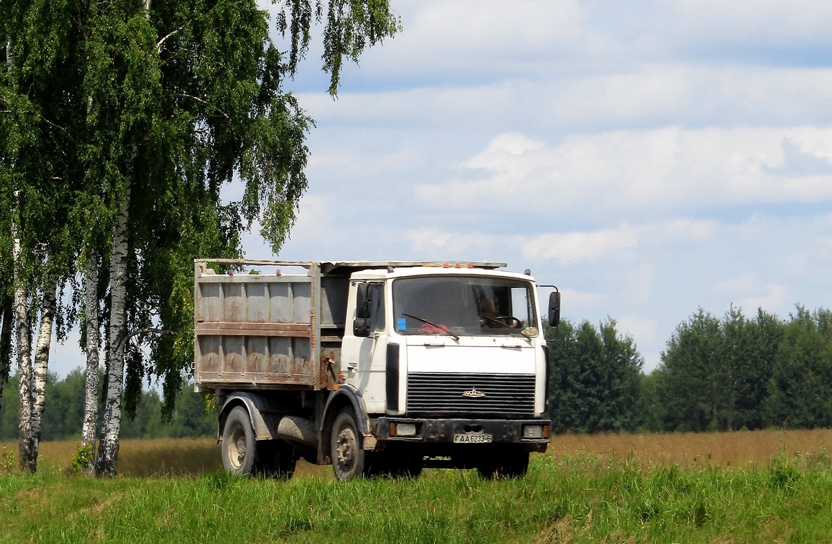 Могилёвская область, № АА 6233-6 — МАЗ-5551 (общая модель)