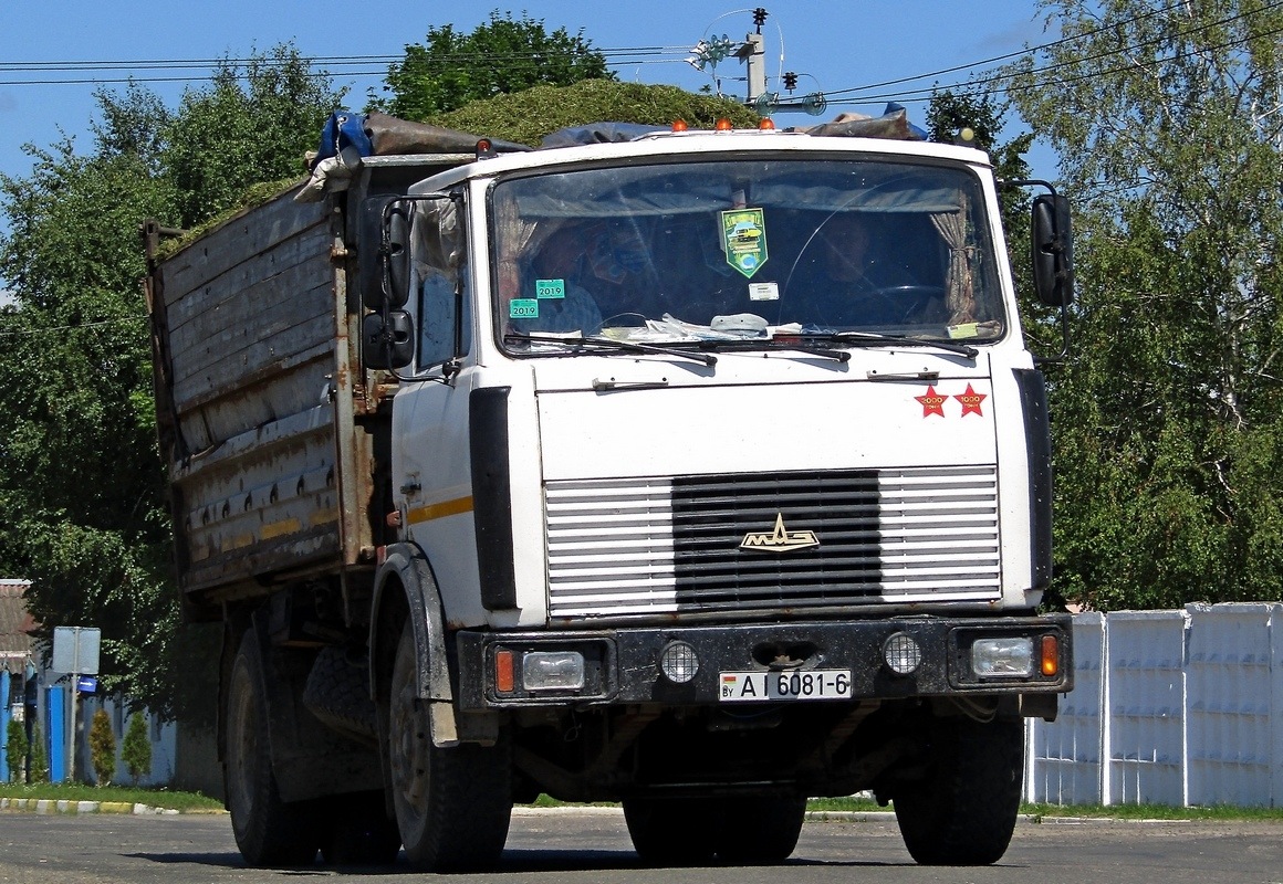 Могилёвская область, № АІ 6081-6 — МАЗ-5551 (общая модель)