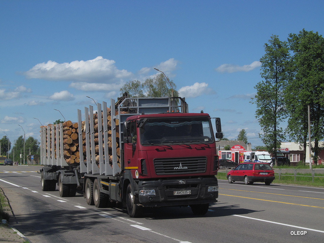 Гомельская область, № АМ 2953-3 — МАЗ-6312 (общая модель)