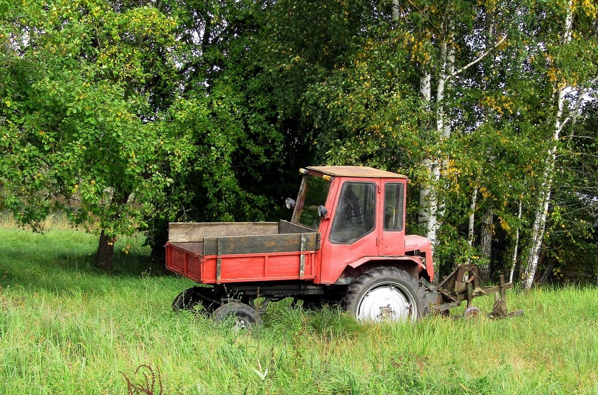 Могилёвская область, № IТ-6 6263 — Т-16 (общая модель)