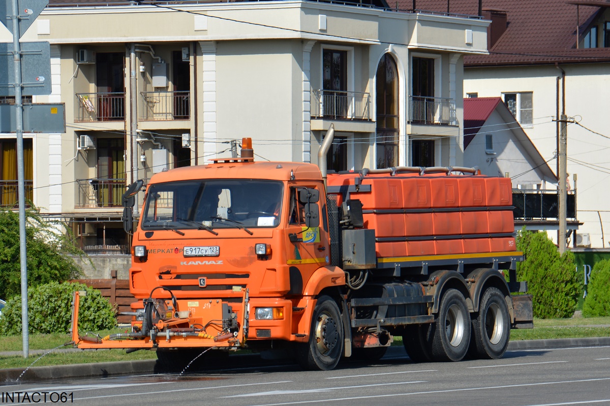 Краснодарский край, № Е 917 СУ 123 — КамАЗ-65115-L4