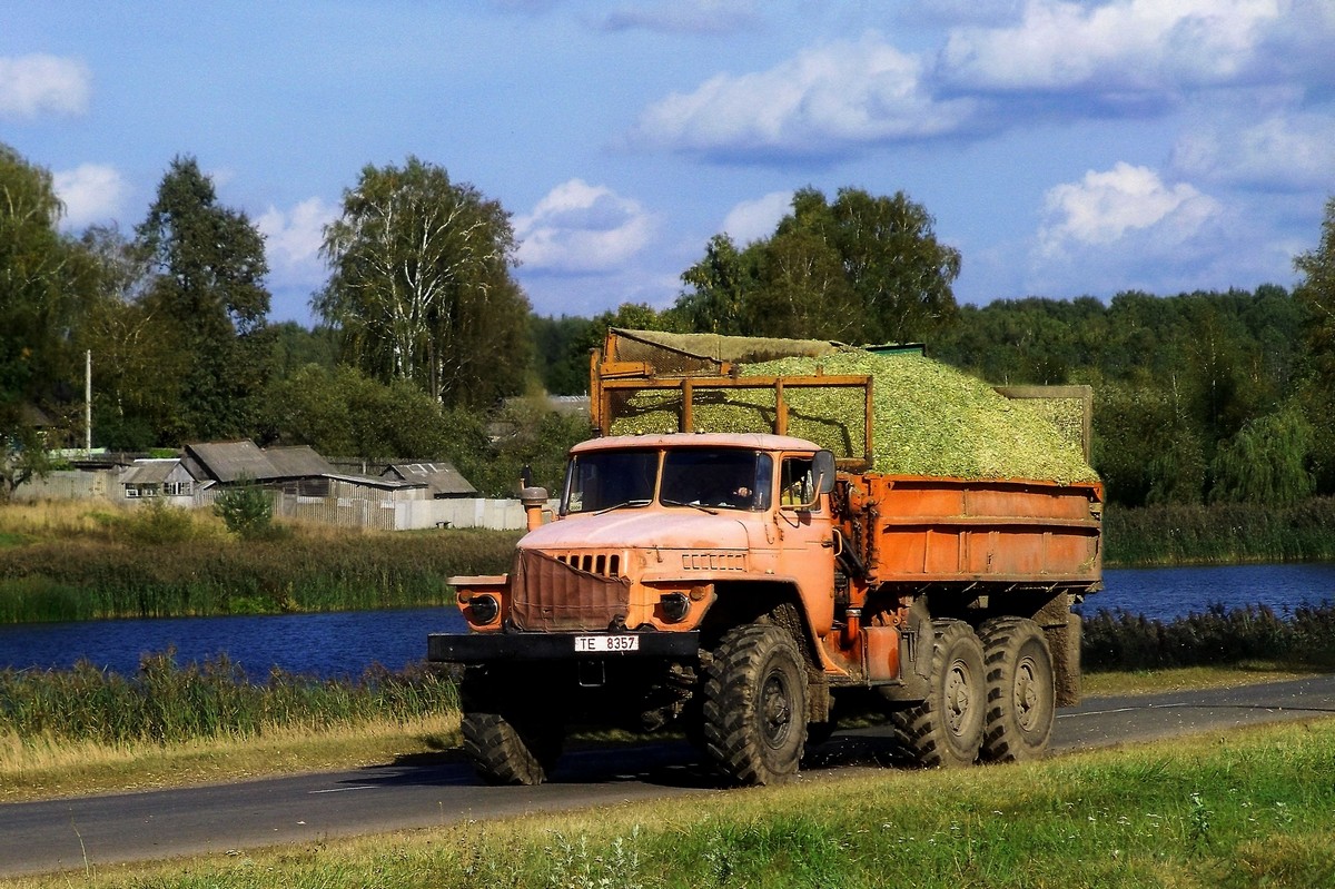 Могилёвская область, № ТЕ 8357 — Урал-5557