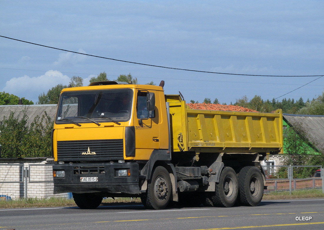 Витебская область, № АЕ 0515-2 — МАЗ-6501 (общая модель)