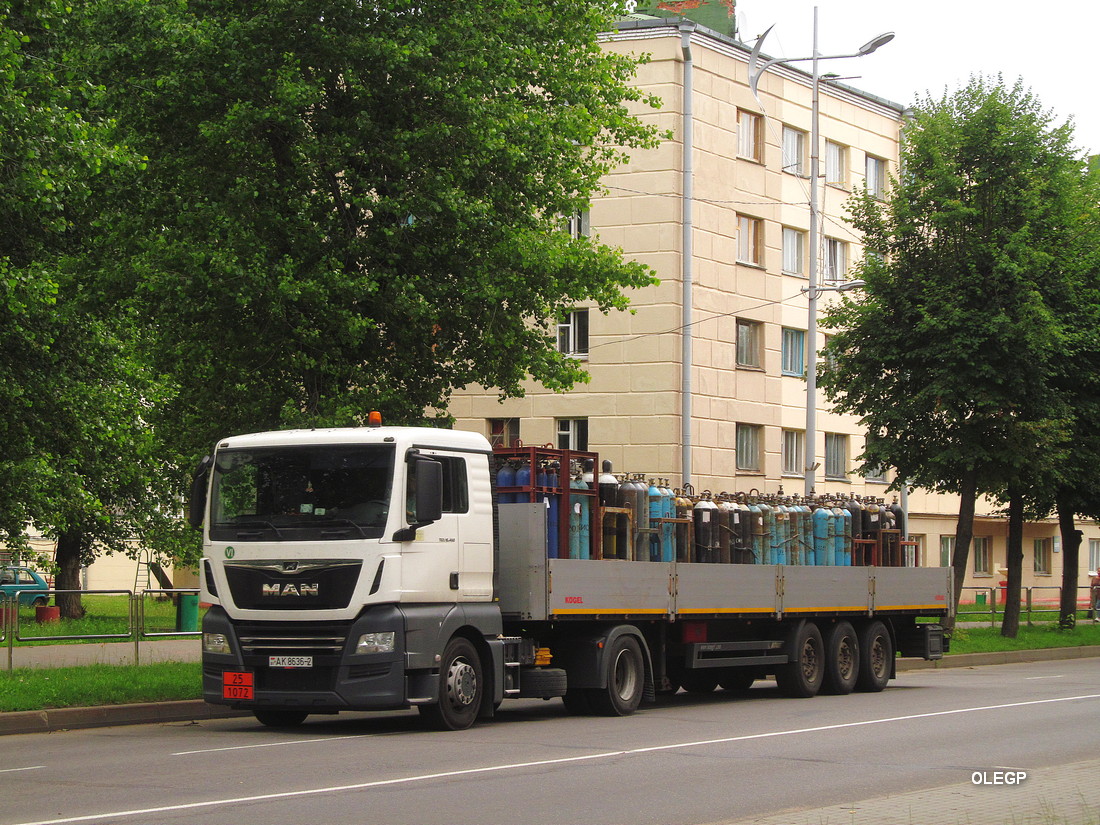 Витебская область, № АК 8636-2 — MAN TGX ('2016) 18.460