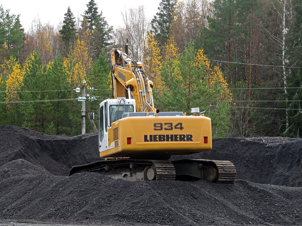 Кировская область, № 0186 КВ 43 — Liebherr (общая модель)