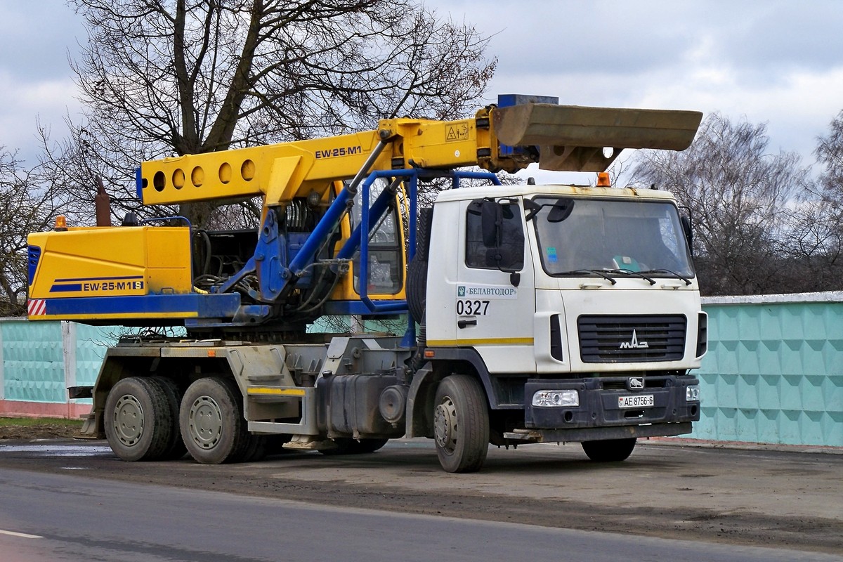 Могилёвская область, № АЕ 8756-6 — МАЗ-6312 (общая модель)