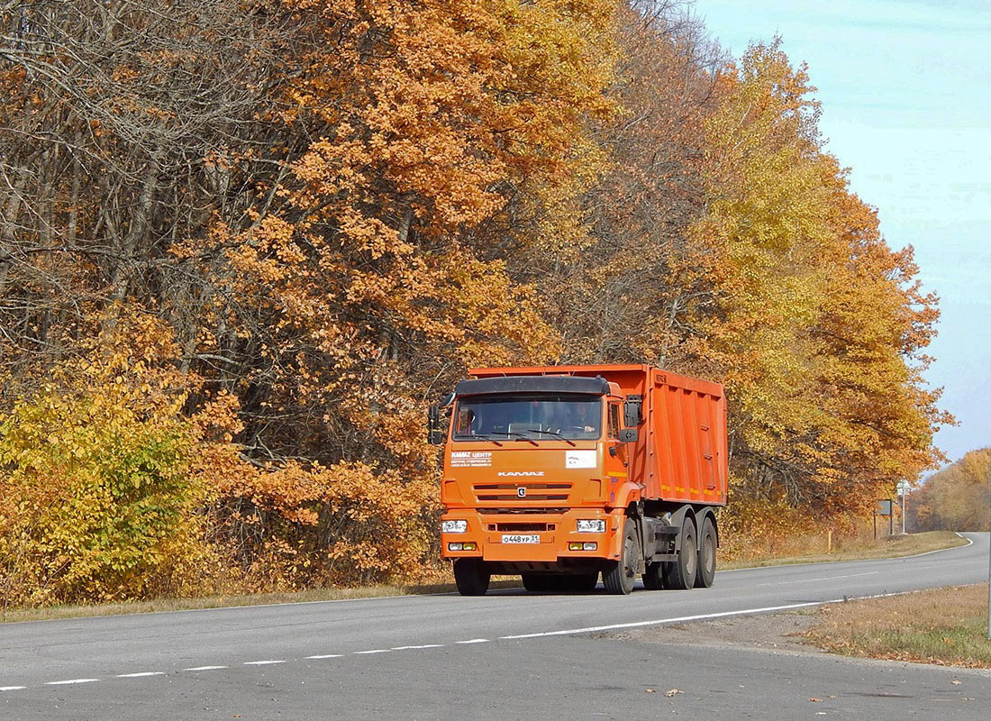 Белгородская область, № О 448 УР 31 — КамАЗ-6520-43